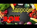 Дневник  моего 10-дневного сухого голодания