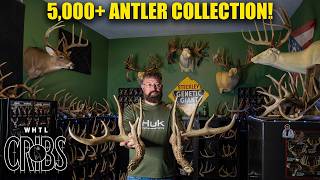 INSANE Antler Collection of Over 350,000 Inches!
