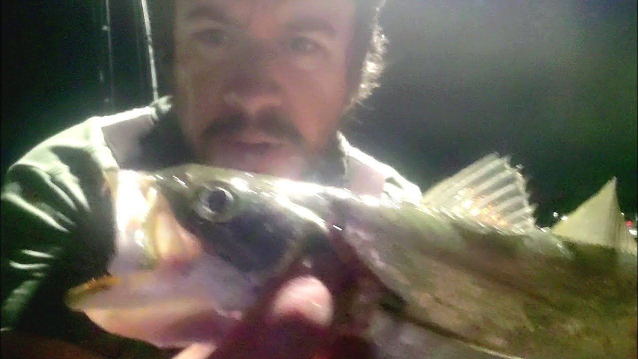 Рыбачим ночью на общественном пирсе с моими сыновьями, ловим белую форель и горбыля