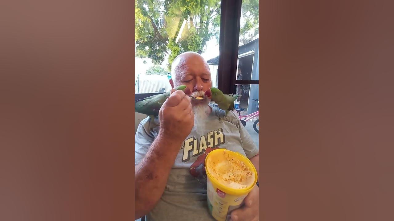 golden-gay-time-youtube