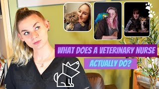 Life of a veterinary nurse in the UK. Listen to three nurses sharing their experiences!