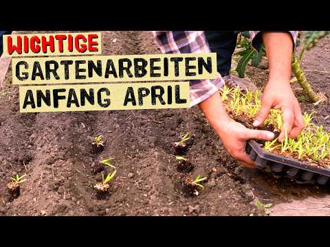 Gartenarbeiten im Gemüsegarten