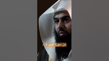 من سورة الزمر الشيخ أنس العمادي الجزء 2