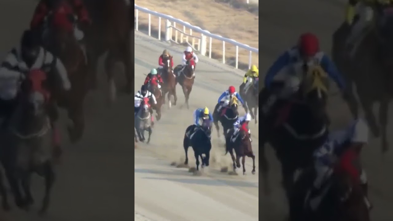 12번 가네