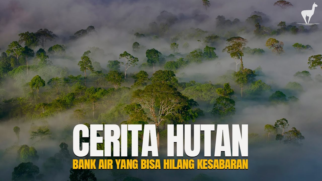 Hutan: Bank Air yang Bisa Hilang Kesabaran