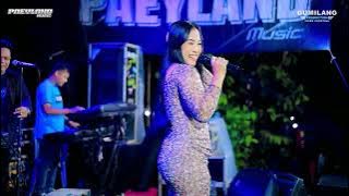 PAEYLAND MUSIC - SAMBEL KEMANGI - DITA DONITA - WEDDING ARIEF & FARIS - NGASEM KELING JEPARA