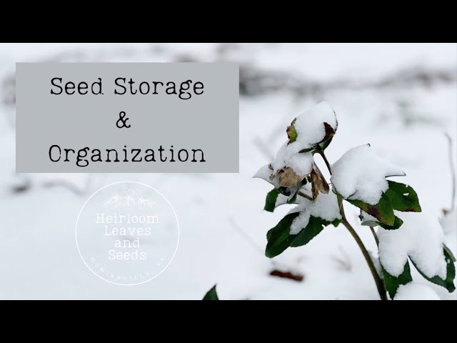 Organizing Your Seed Collection – Southern Gardener