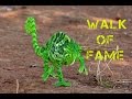 &quot;BABY CHAMELEON&quot; : THE FUNNIEST WALK EVER (CAN THEY ESCAPE PREDATORS LIKE THIS ?)