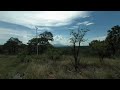 Se ve el volcán de Tequila | Bosque de la primavera | Realidad virtual | Episodio #9