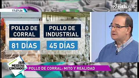 ¿Cómo saber si el pollo está libre de antibióticos?