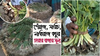 রমজান মাসের আগে কি কি সবজি চাষ করবেন | চারার বাজার মূল্য জেনে নিন