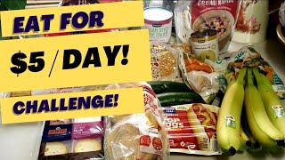 Extreme Grocery Budget Challenge. Canadian eating for $5/Day