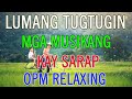 Mga Lumang Tugtugin 60s 70s 80s 90s - Pure Tagalog Pinoy Old Love Songs  Pamatay Tagalog Love Song