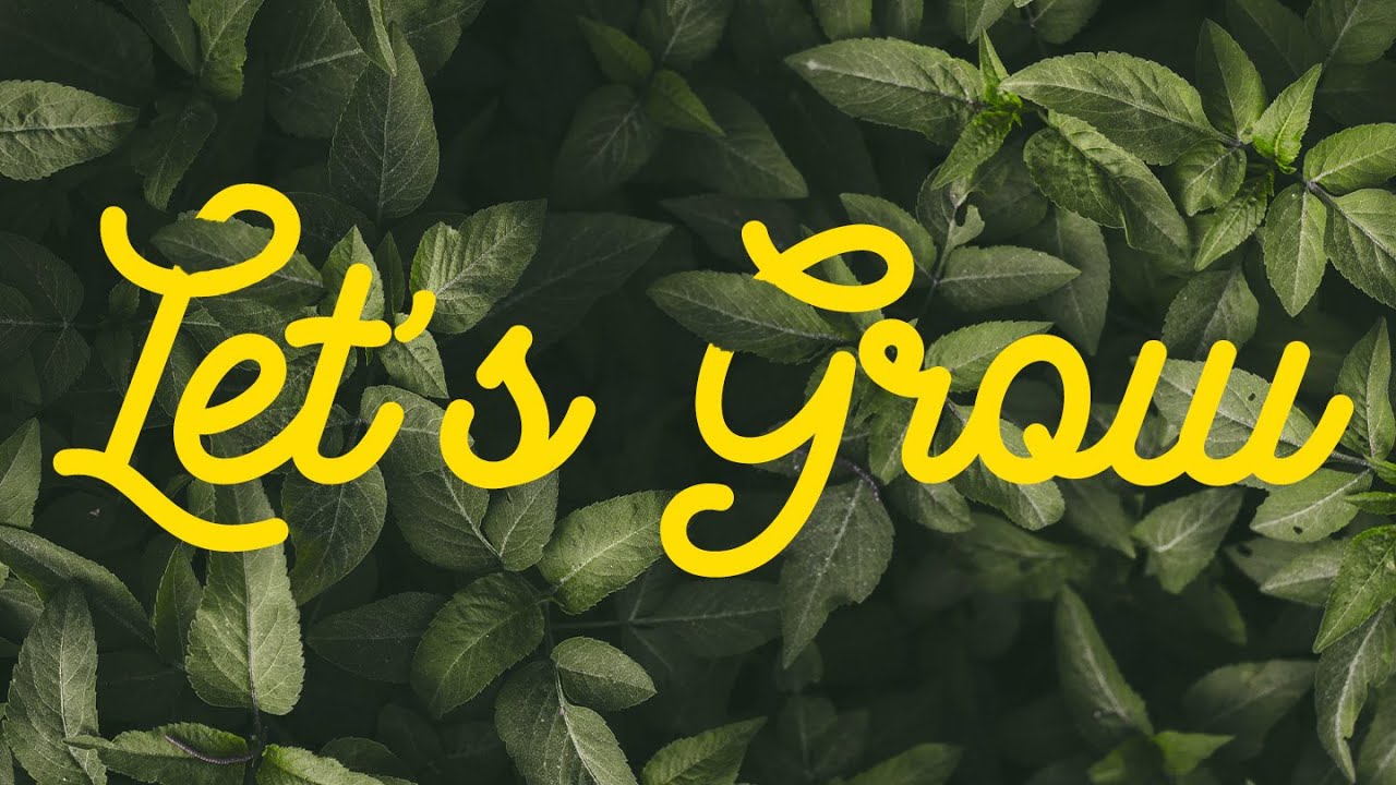 Christian Life Fellowship Is Now LIVE! YouTube