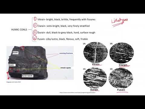 Physical Description of Coal- Lithotypes