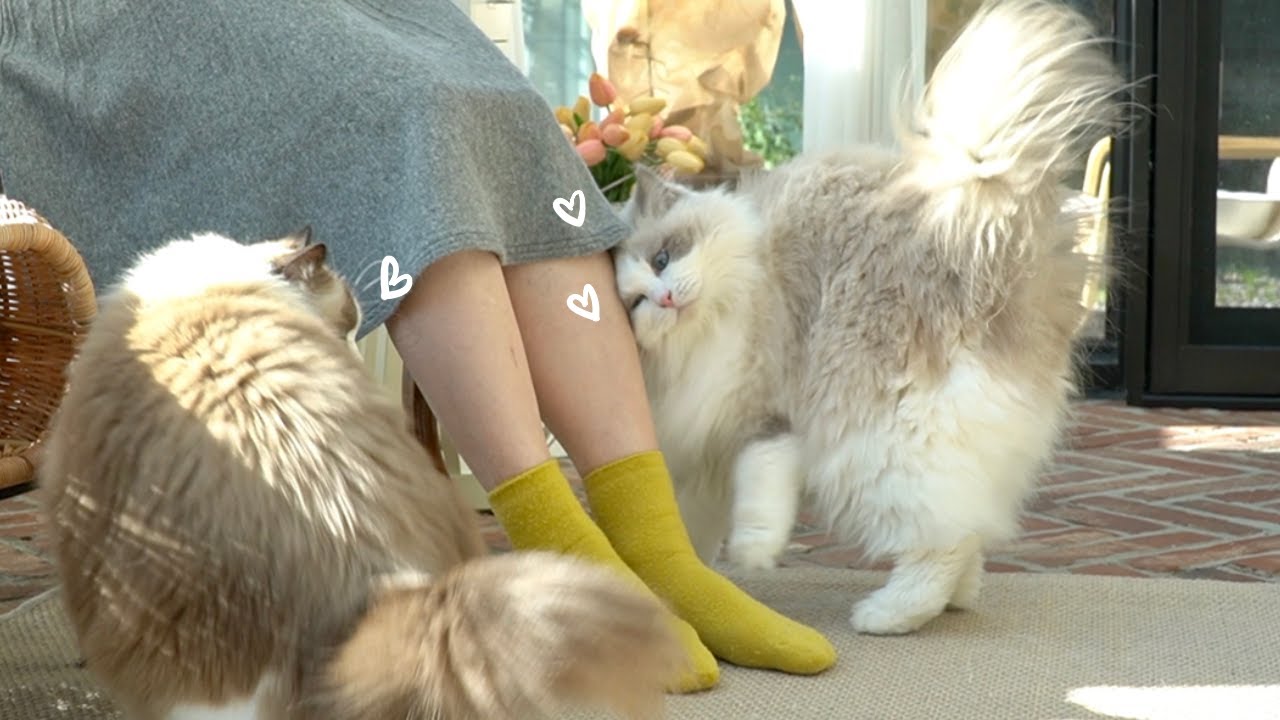 엄마가 너무 좋아