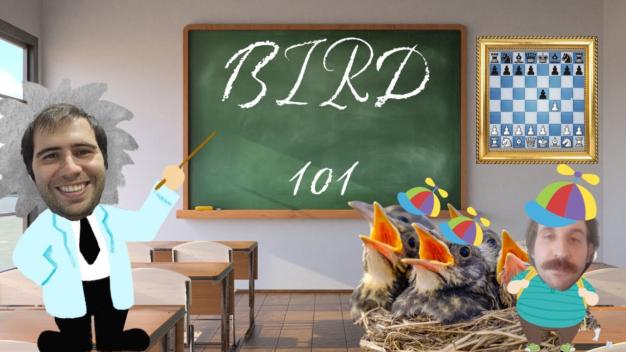 Raven takes Kevin to Bird School