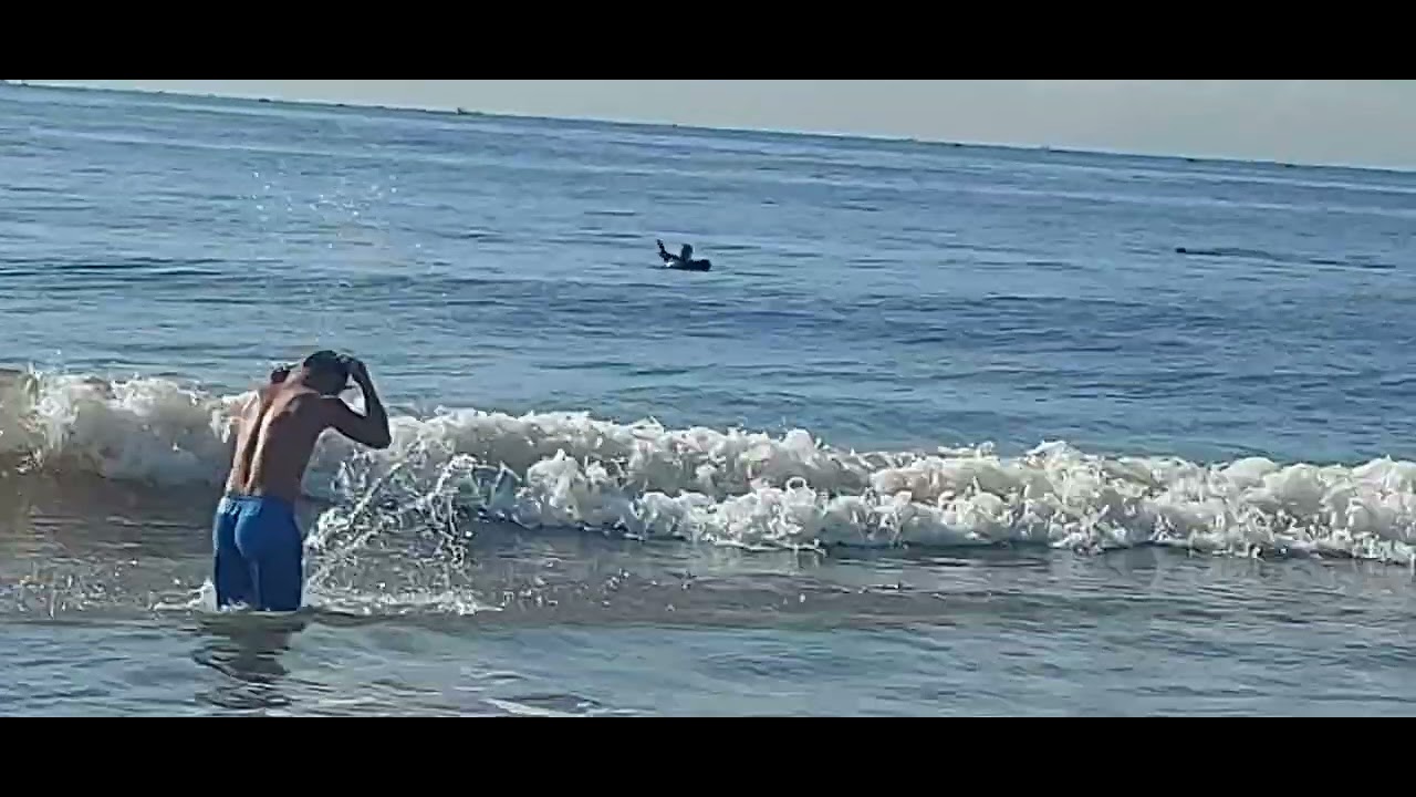 Xuống biển giăng lưới cá dính đủ loại