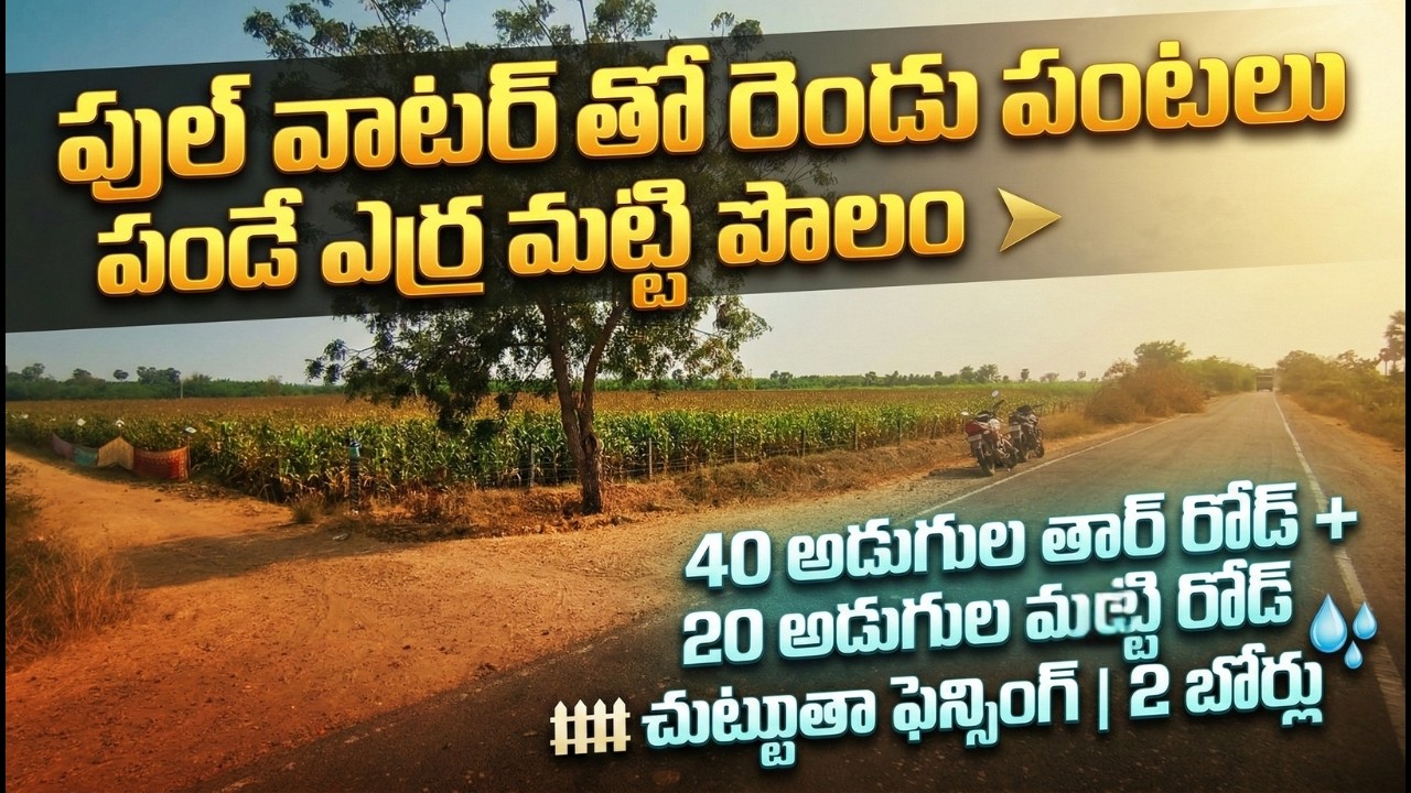 (ID:6 )  🌿 2 బోర్లు ఉన్న ఎర్ర మట్టి ల్యాండ్ | 3.5 ఎకరాలు | ఇంత చౌకా?