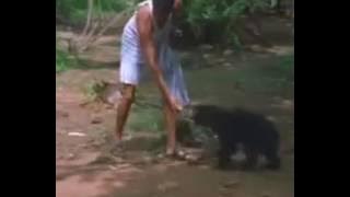 Tu Buddhi De tu tej De song # Dr.Prakesh Amte