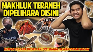 Heran Banget Makhluk Teraneh Malah Dipelihara Disini Kenapa Dosen Aku Pelihara Hewan Semacam Ini