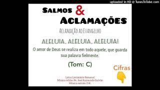 Vídeo de ALELUIA - O AMOR DE DEUS SE REALIZA (Salmos e Aclamações)