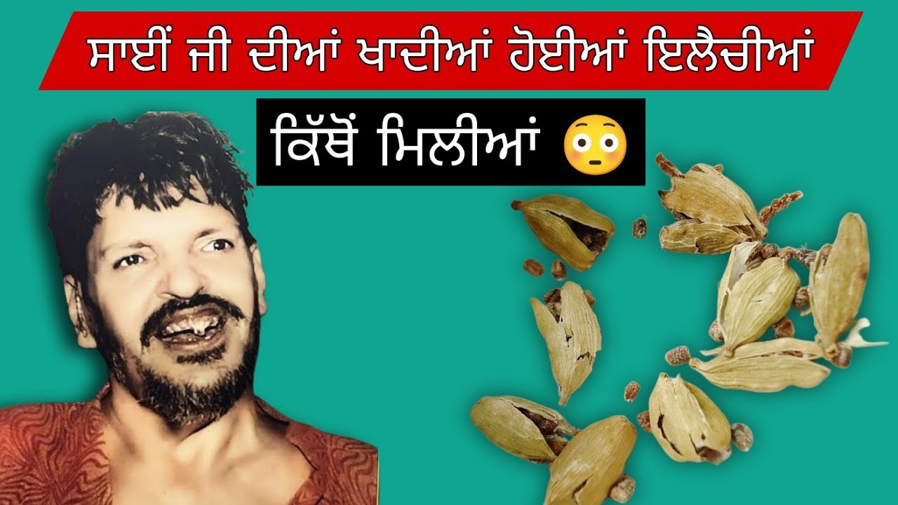 Sai ji diyan khadian hoiyan elaichian kitho milian 😳 dev heer vlogs | jai sai ladi shah ji