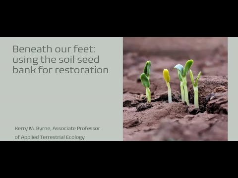 Dr. Kerry Byrne: Beneath our feet: harnessing the power of the soil seed bank for restoration