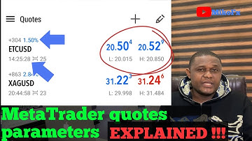 Explaining the parameters on the MetaTrader quotes