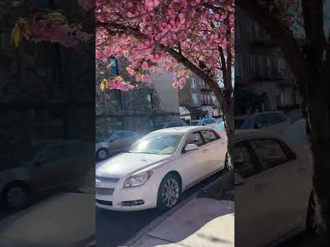 NEW YORK  SUMMER TIME.