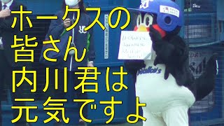 内川君の近況をホークスファンに報告するつば九郎。でも内川君をイジリすぎてつば九郎の明日が心配です(笑)きょうのひとこと