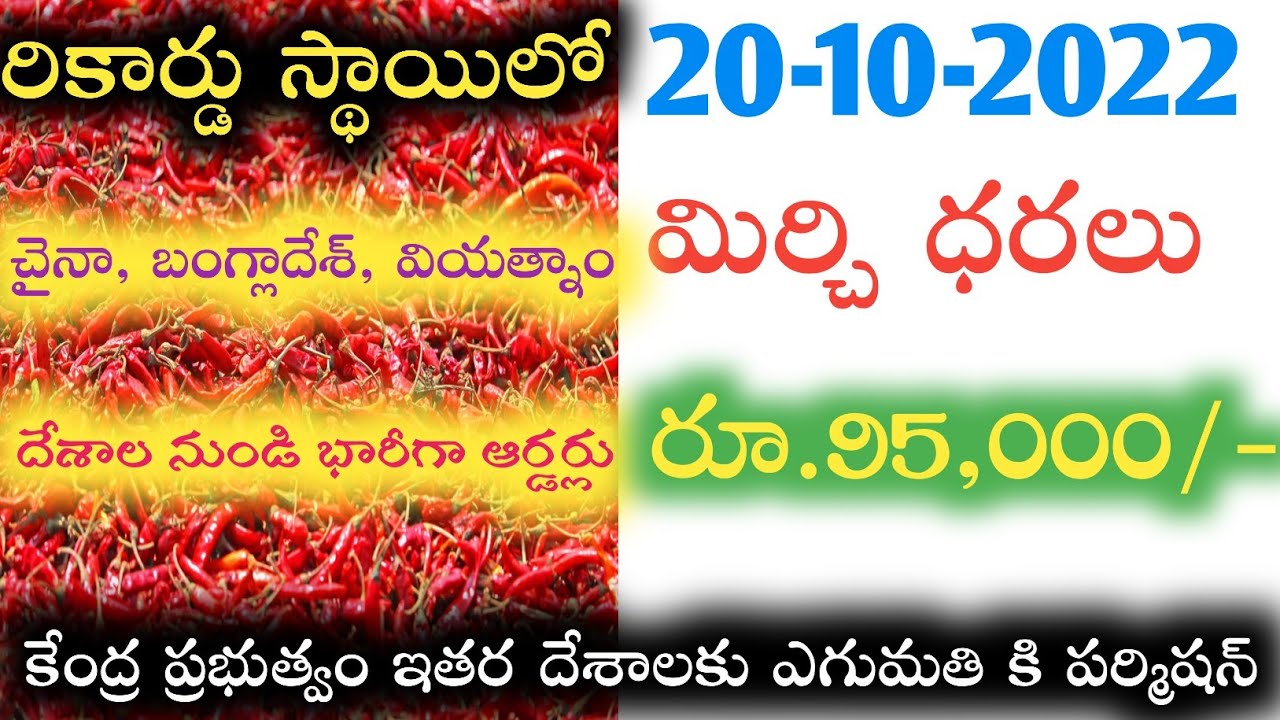 95-000-mirchi-rate-today-cotton-rate-today