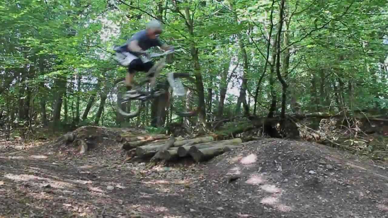 Test Video Puddletown Forest