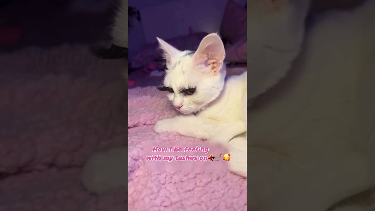 Check out ur lash extensions! 