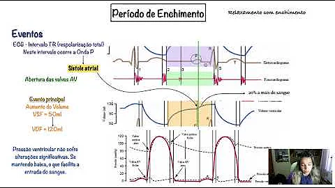 Como ocorre a diástole ventricular?