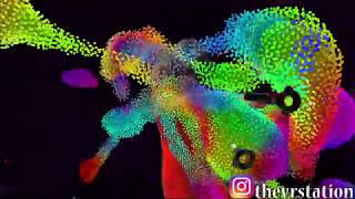 Psychedelic Particle Physics Simulator (Chroma Lab | Mixed Reality) - Vive VR