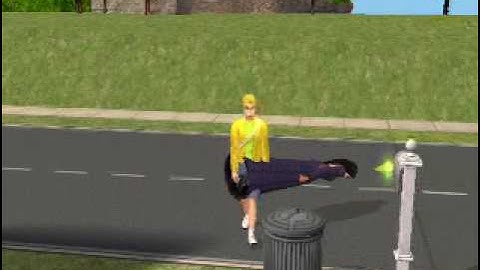 the sims 2 pets cheat codes and glitches part 2