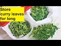 Curry leaves saving tips  how to keep curry leaves for long  how to store curry leaves