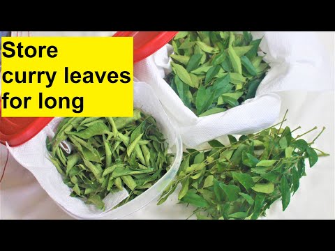 Curry leaves saving tips | How to keep curry leaves for long | How to store curry leaves