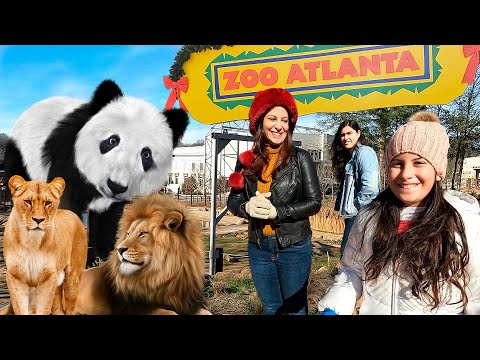 Vídeo: Parques Temáticos da Família Atlanta