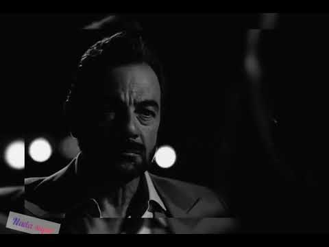 تمر ليالي وشوقي يقل هونكار فيكيلي كان ما كان بتشكورفا