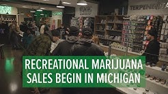 Recreational Marijuana Sales in Michigan