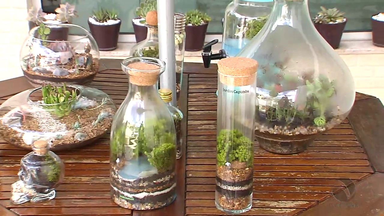 Conheça a tendência da utilização do jardim em miniatura !!!