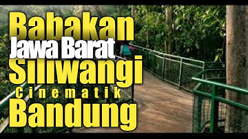 Babakan Siliwangi Bandung ||  Forest Walk Bandung Cinematic Video (baksil)