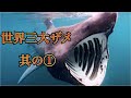 【ホホジロザメの倍】全魚類No.2の大きさを誇る超巨大ザメ「ウバザメ」 basking shark