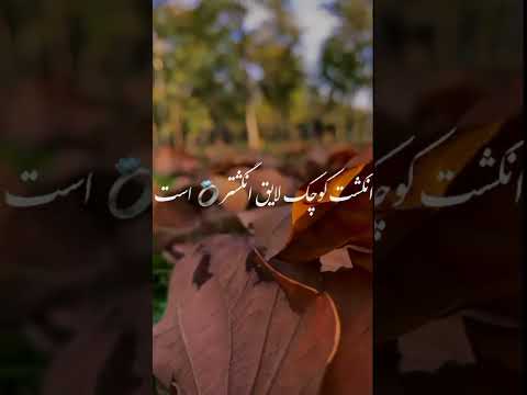 شاعر شمس تبریزی