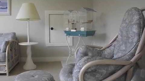 A zebra finch adapts to living in a new room (Part 2 of 2)