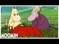 Adventures from Moominvalley EP49: The Giant Pumpkin