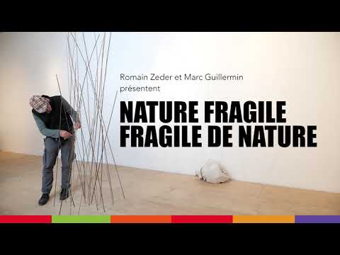 the nature of fragile things reviews