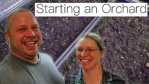 Growing Apple Trees from Cuttings